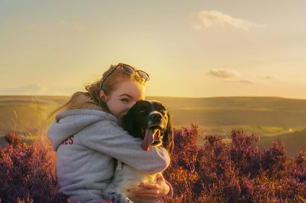 The incredible bond between a teenager and her amazing canine carer
